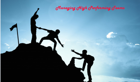 managing high performing teams in business