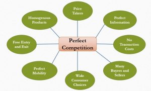 Characteristics of Perfect Competition