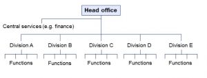 Multidivisional Organizational Structure