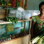 Beyond the Binary: Reimagining the Future of Global Microfinance