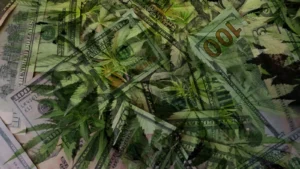 bridging-the-gap-the-bipartisan-push-to-normalize-cannabis-banking-in-2026