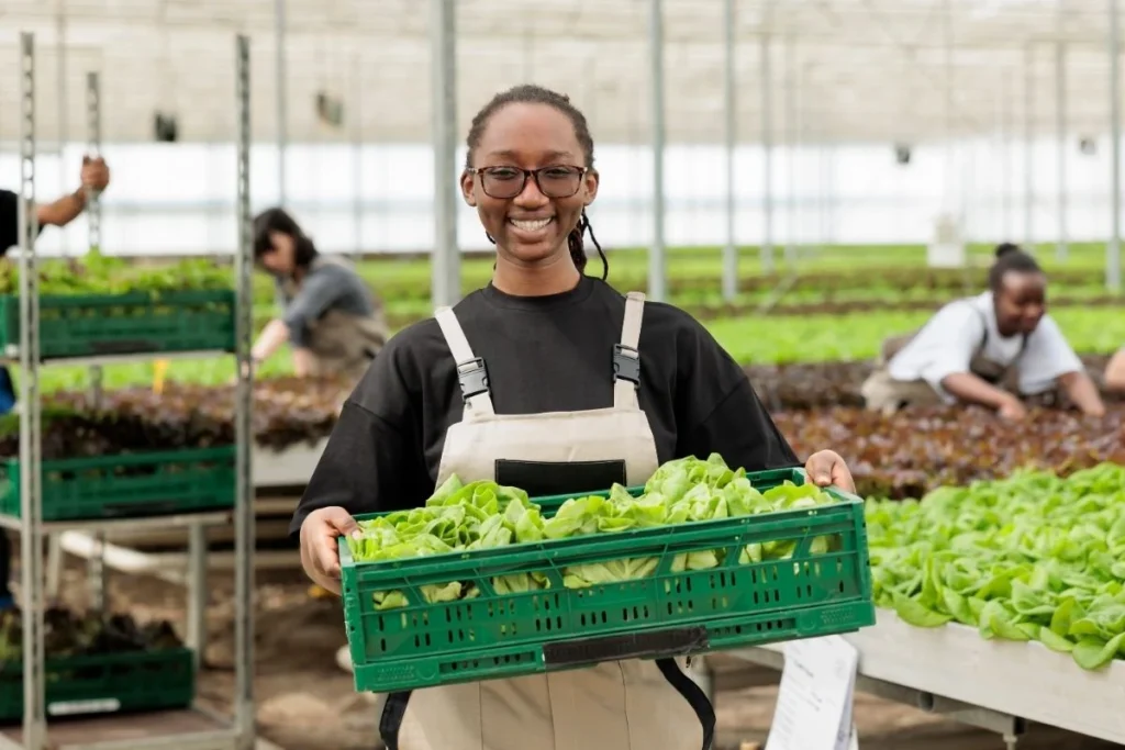 the-architects-of-economic-sovereignty-the-rise-and-violent-suppression-of-the-colored-farmers-national-alliance