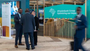 the-capital-conundrum-financing-africas-future-in-an-era-of-shrinking-concessionality