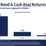 The Quest for Early Retirement: Navigating Asset Allocation in the FIRE Movement