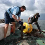 Researchers Gather Data On Environmental Contamination And Rising Temperatures In Waters Near Miami