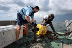 Researchers Gather Data On Environmental Contamination And Rising Temperatures In Waters Near Miami