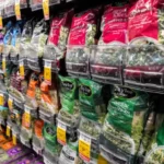 Taylor Farms Products As Lettuce Supplier Prepares To Issue A Recall