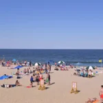 the-fiscal-soundtrack-curating-a-summer-playlist-for-the-modern-cfo
