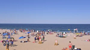 the-fiscal-soundtrack-curating-a-summer-playlist-for-the-modern-cfo