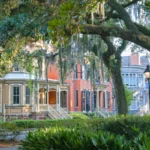 Charming Savannah