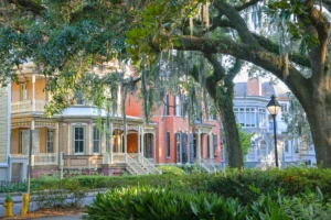 Charming Savannah