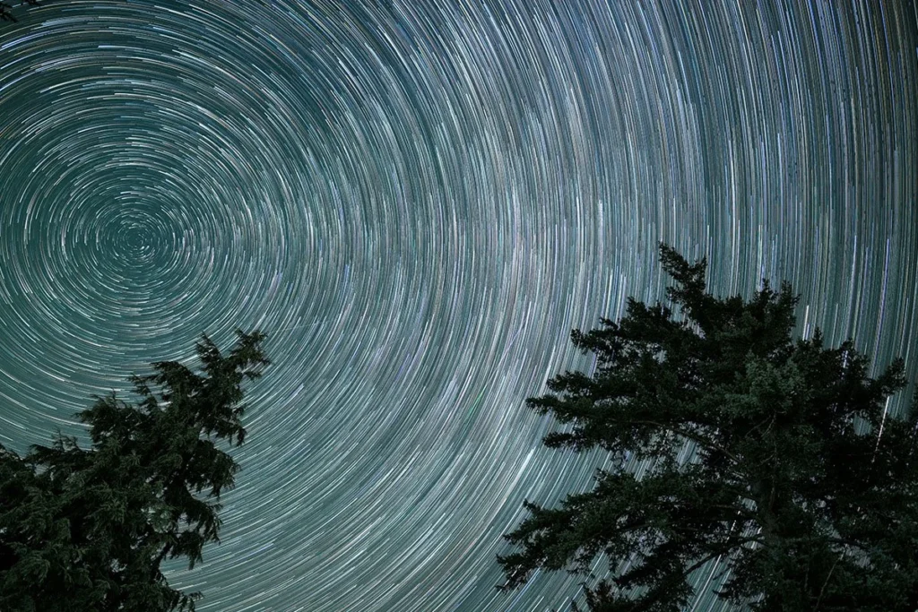 beyond-resistance-forging-a-new-north-star-for-disability-liberation-in-america