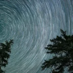 Beyond Resistance: Forging a New North Star for Disability Liberation in America