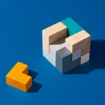The Final Piece to Solving a Puzzle Toy