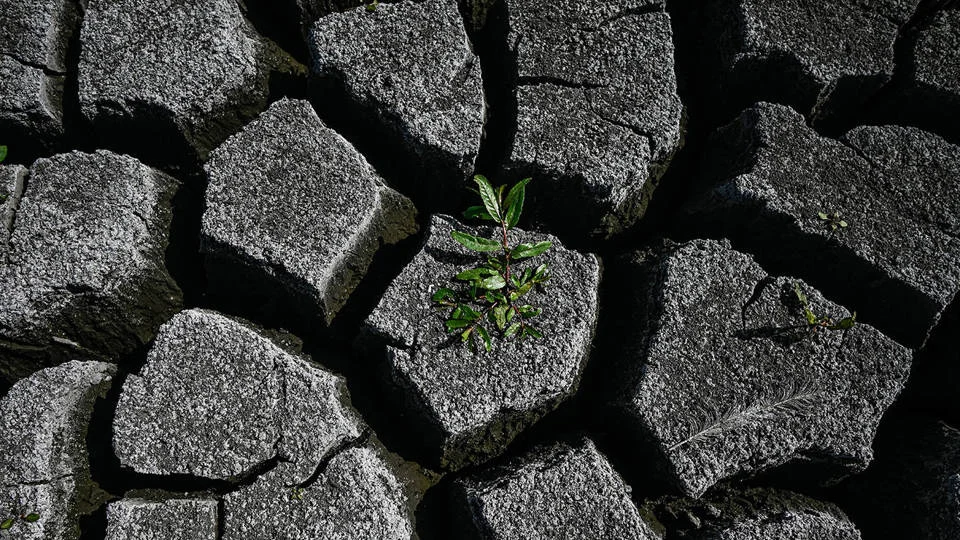 europes-silent-crisis-why-the-continents-dying-soil-is-its-most-overlooked-strategic-vulnerability