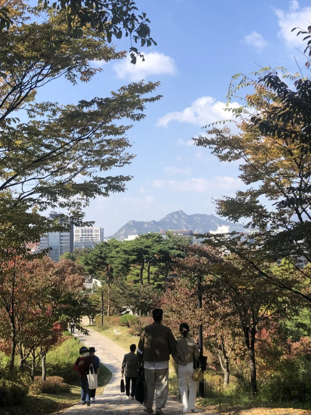 financial-crossroads-an-expat-couples-roadmap-from-hanoi-to-the-american-dream