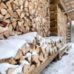 frugalwoods-pivot-a-new-chapter-for-the-influential-financial-independence-blog