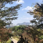 navigating-the-expat-financial-crossroads-a-case-study-in-planning-for-an-uncertain-future-1