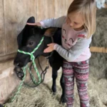 the-economics-of-childhood-how-one-family-is-demystifying-personal-finance-for-the-next-generation