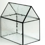 the-fragile-architecture-of-democracy-lessons-in-civil-society-resilience-from-central-europe