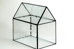the-fragile-architecture-of-democracy-lessons-in-civil-society-resilience-from-central-europe