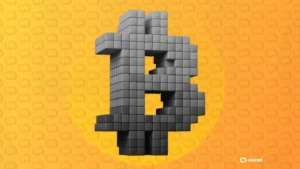 the-great-crypto-chasm-why-bitcoins-hegemony-is-reshaping-digital-asset-markets
