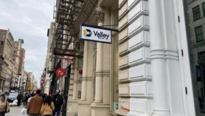 valley-national-bancorps-acquisition-of-bluevine-a-strategic-shift-toward-digital-dominance