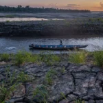beyond-the-battlefield-why-protecting-nature-remains-an-economic-imperative-amid-global-conflict