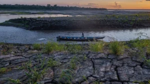 beyond-the-battlefield-why-protecting-nature-remains-an-economic-imperative-amid-global-conflict