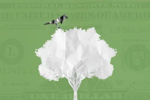 from-crisis-to-co-governance-how-pittsburghs-decarbonization-coalition-is-redefining-climate-justice