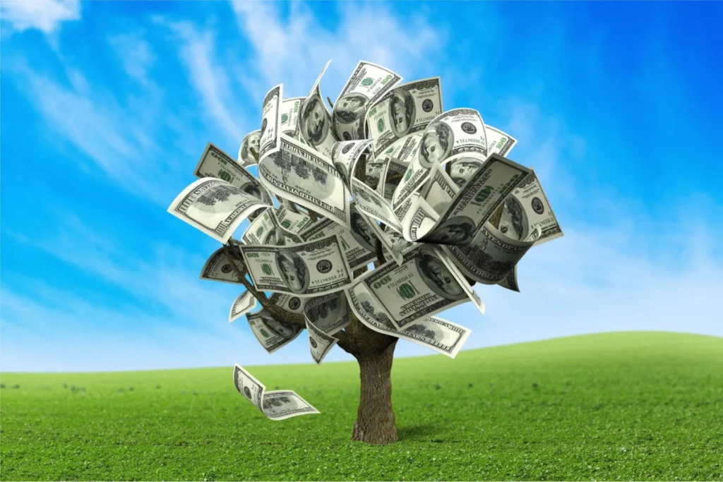 Money tree.