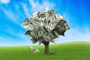 Money tree.
