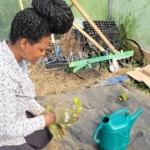 reclaiming-the-soil-the-radical-vision-of-black-yard-farm-and-the-fight-for-reparative-land-justice