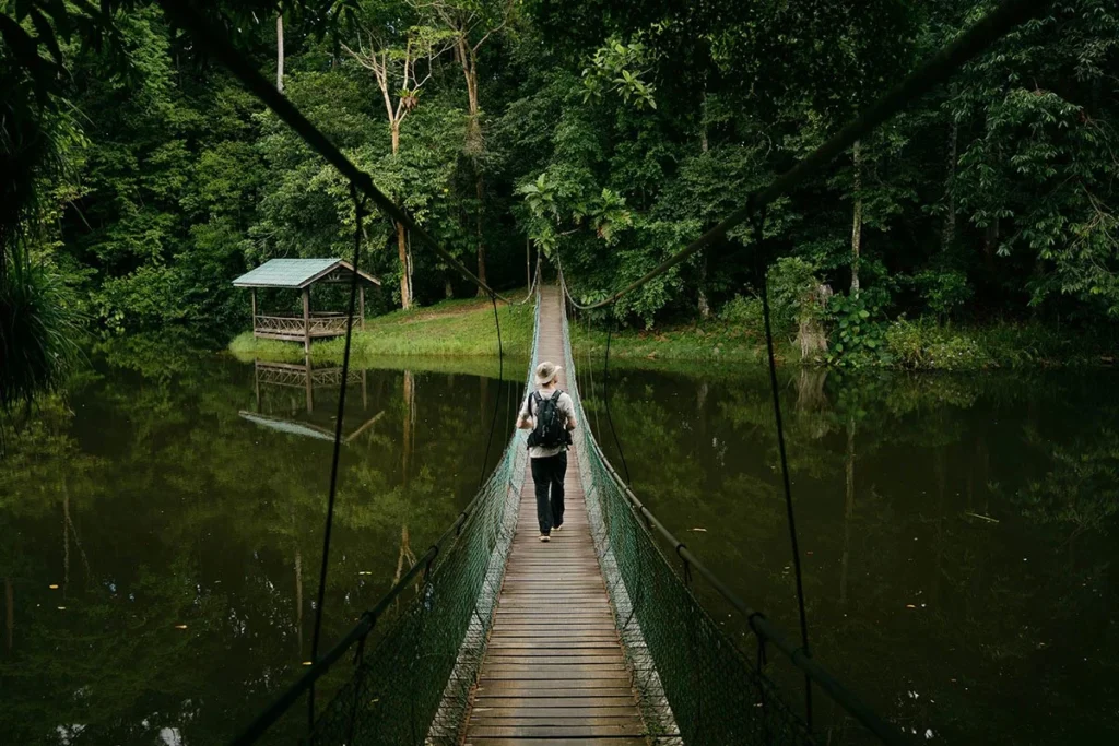 the-great-retreat-philanthropys-funding-crisis-and-the-fight-for-movement-sustainability