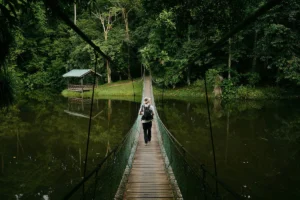 the-great-retreat-philanthropys-funding-crisis-and-the-fight-for-movement-sustainability