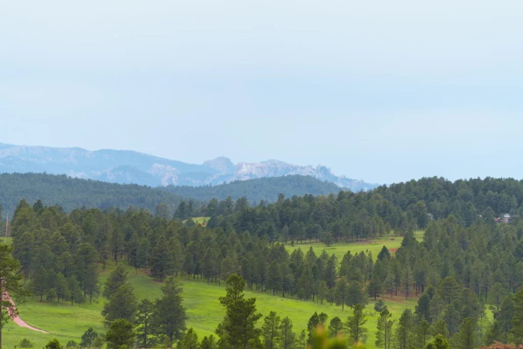 the-reclaiming-of-he-sapa-a-decolonial-movement-for-the-black-hills