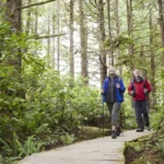 Senior couple hiking along trail in forest